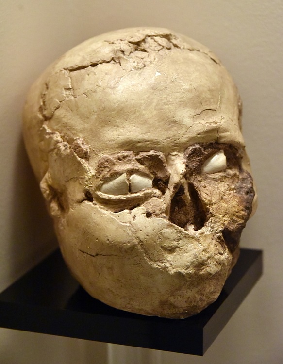 Plastered Skull from Jericho