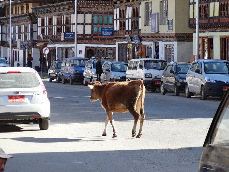 Thimphu Bhutan