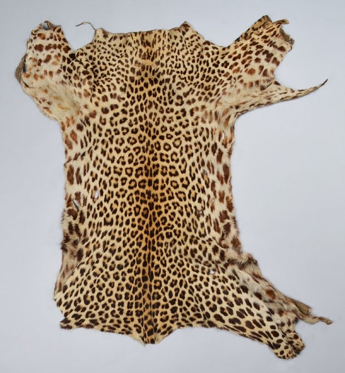 Shona Leopard Skin Apron