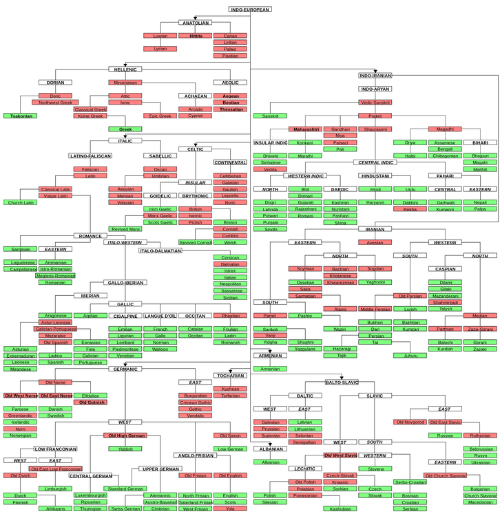 Indo-European language family tree (Illustration) - World History ...
