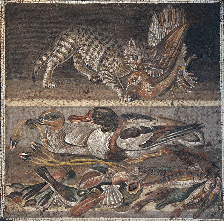 Cat with a Quail Mosaic, House of the Faun