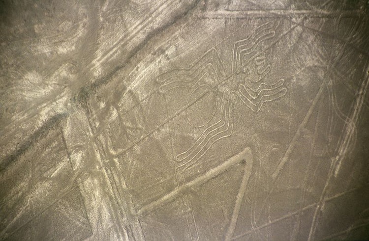 Nazca Insectoids The Nazca Lines: A Life's Work - World History Encyclopedia