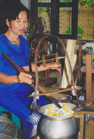 Thai Woman Boiling  Silk Cocoons