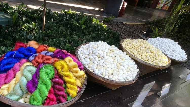 A Bowl of Raw Silk & Silk Cocoons