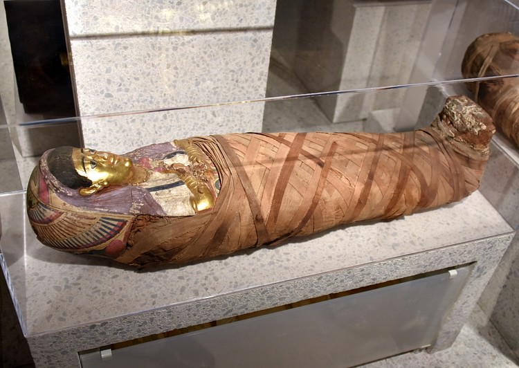 Mummified Girl from the Tomb of Aline. 