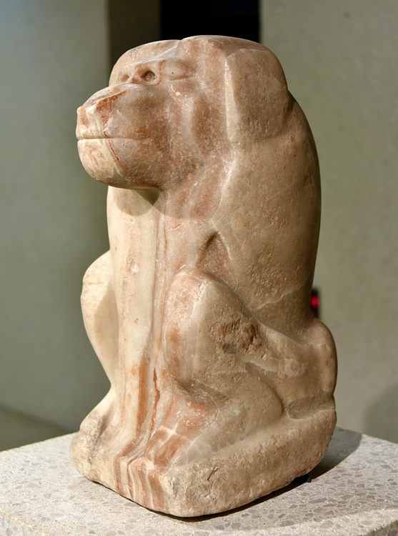 Male Baboon from Abydos