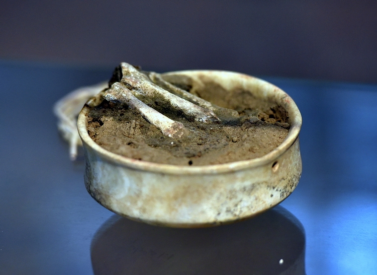 Bowl with Bones from Tell es-Sawwan