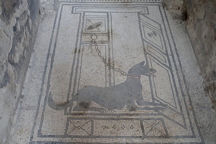 Dog Mosaic in the House of Paquius Proculus in Pompeii