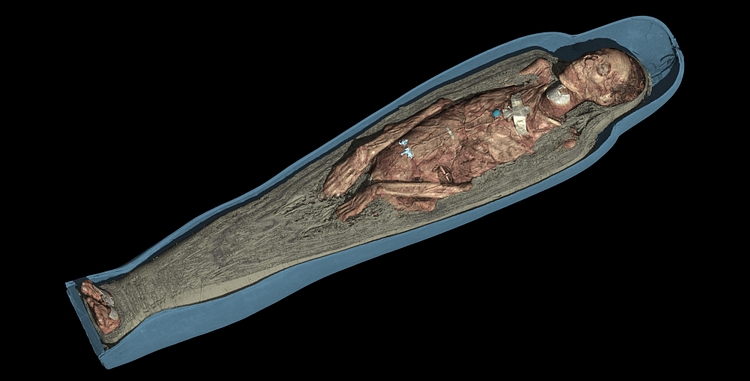 Visualization of the Body of Tamut
