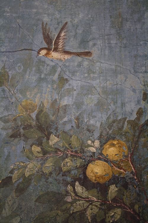 Fresco, Livia's Villa, Rome