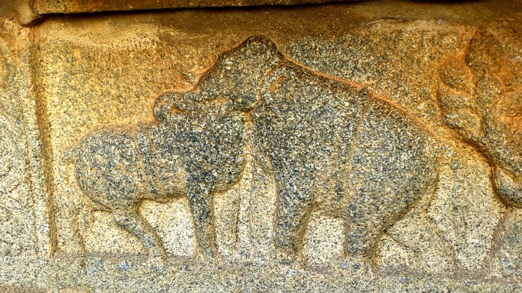 Bull and Elephant Composite, Vittala Temple, Hampi