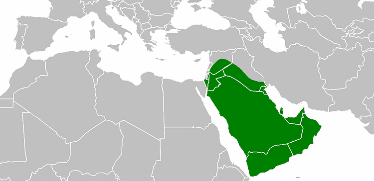 Rashidun Caliphate Under Caliph Abu Bakr