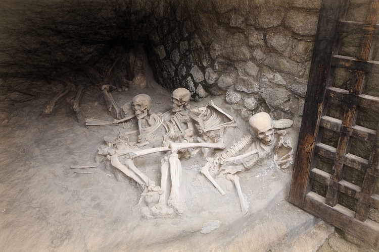 The Skeletons of Herculaneum