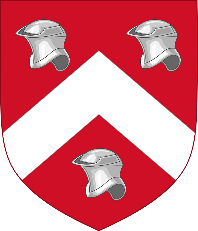 Arms of Owen Tudor