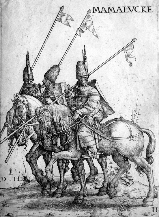 Mamluk Lancers