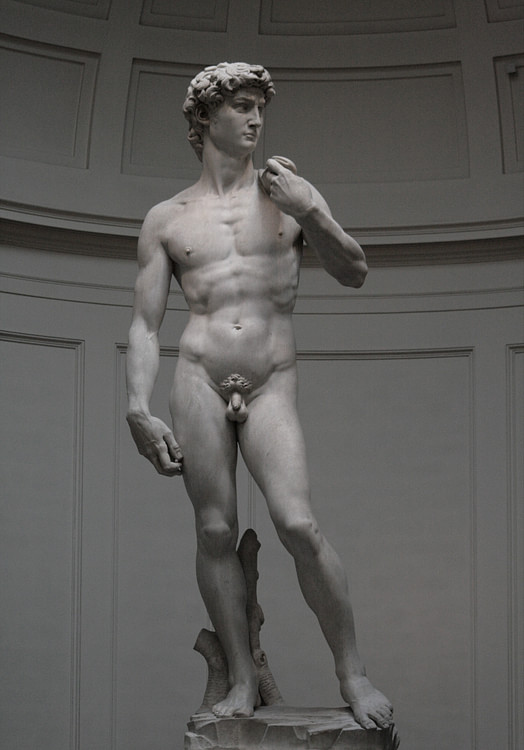 Michelangelo's David