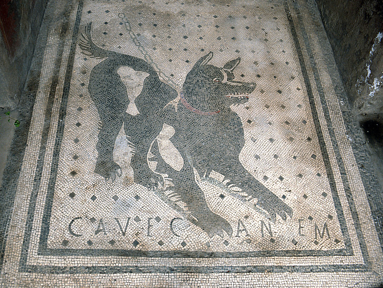 Cave Canem, Dog Mosaic