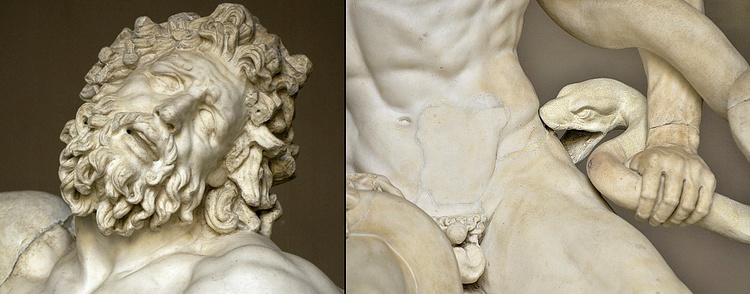 Details from Laocoön & His Sons
