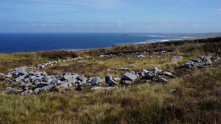 Ceide Fields Walls