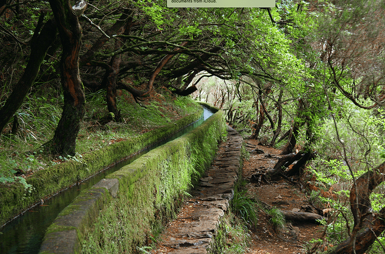 Levada Aqueduct, Madeira