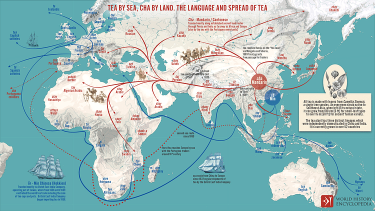 Movement of "Tea" & "Cha" Around the Globe