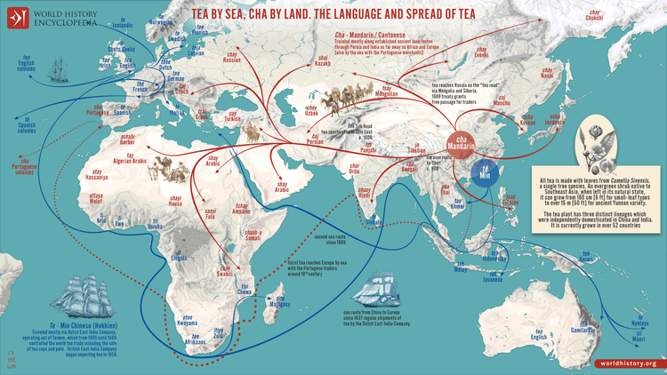 Map of the Movement of