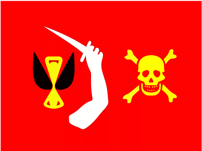 Pirate Flag