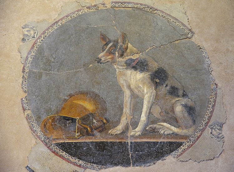 Dog Mosaic from Alexandria