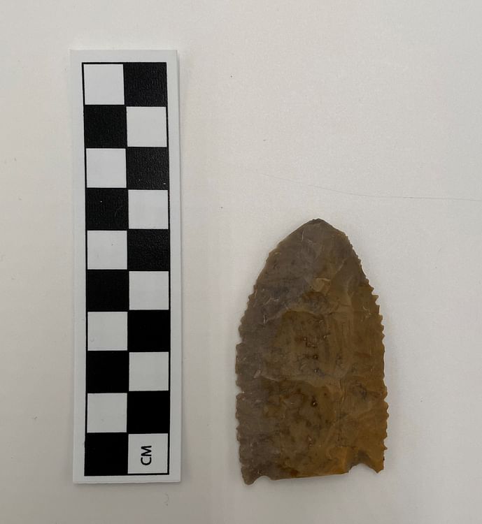 Eva Projectile Point