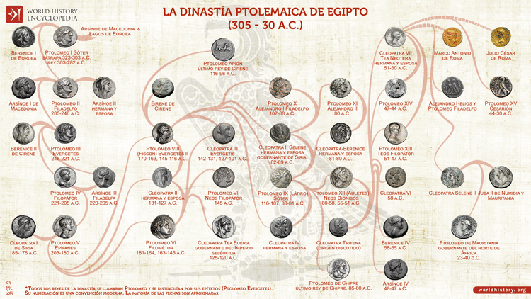 Árbol genealógico de la dinastía ptolemaica de Egipto (305-30 a.C.)
