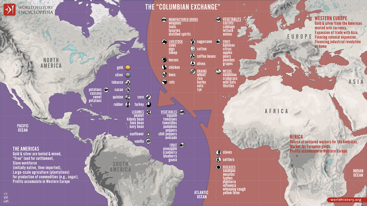 Birinci Tarım Devrimi Nedir 9 Mitolojiler.com The “Columbian Exchange” in the 15th century