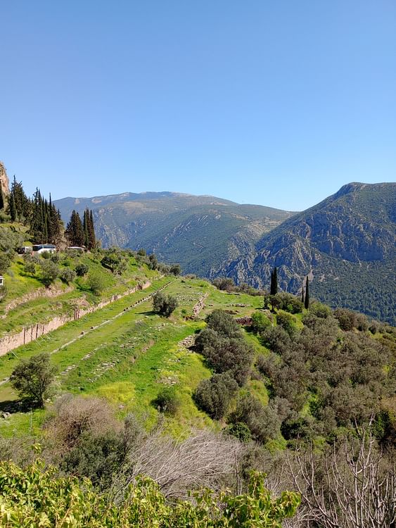 The Gymnasium of Delphi