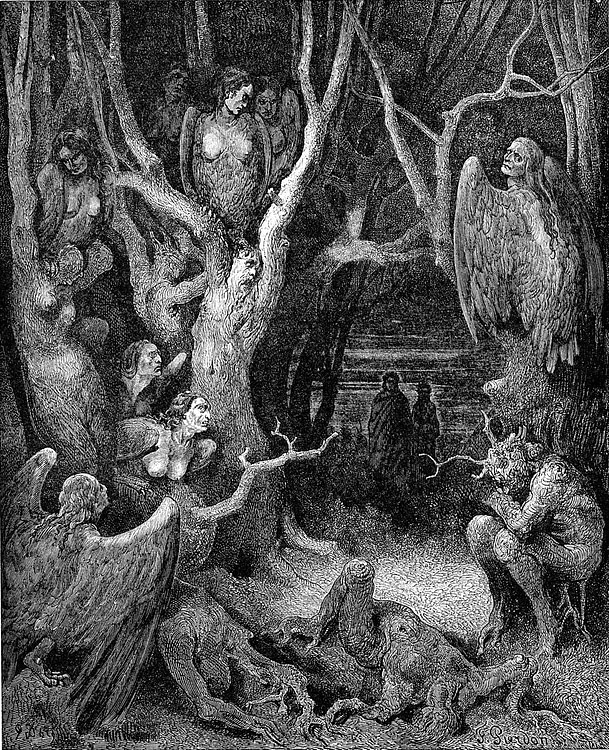 Harpies in the Infernal Wood