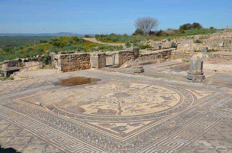 House of Orpheus, Volubilis