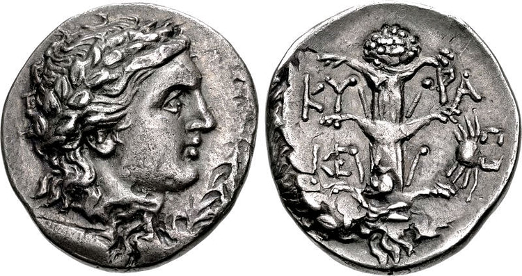 A Coin of Magas of Cyrene with Silphium Plant