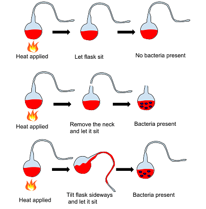 Pasteurization Experiment