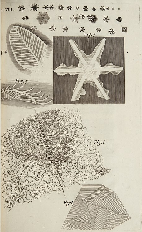 Frozen Structures under Microscope