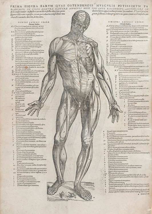 Page from On the Fabric of the Human Body