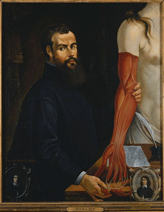 Andreas Vesalius by Poncet
