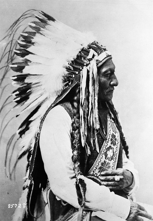 Lakota Sioux Leader Sitting Bull, 1885