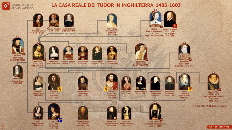 Albero genealogico della dinastia Tudor