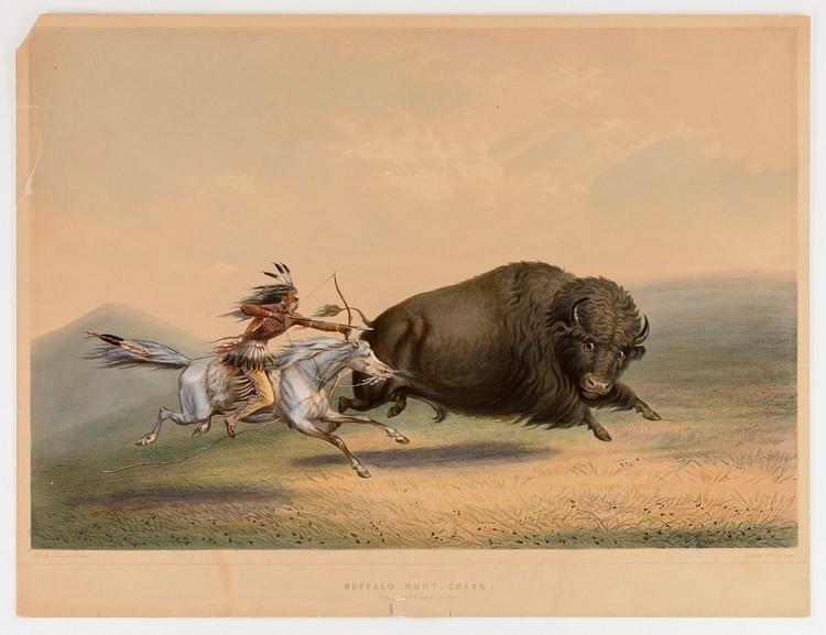 Buffalo Hunt, Chase No. 5.