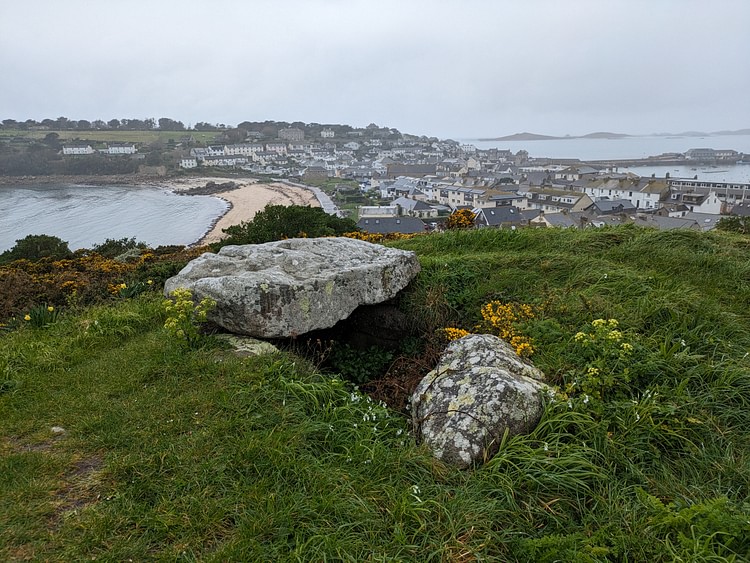 Buzza Hill Entrance Grave