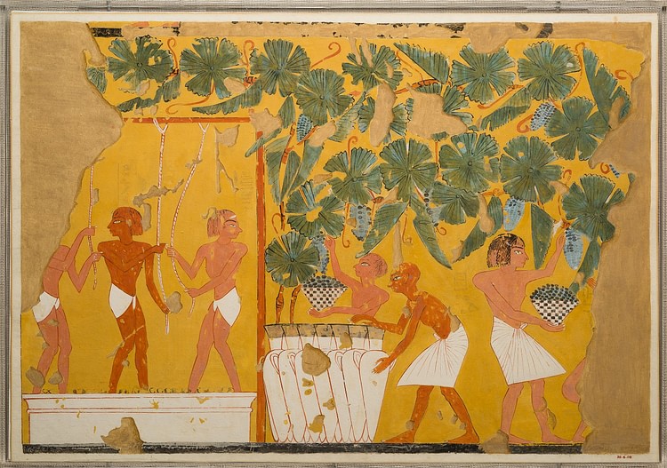 Winemaking, Tomb of Ipuy