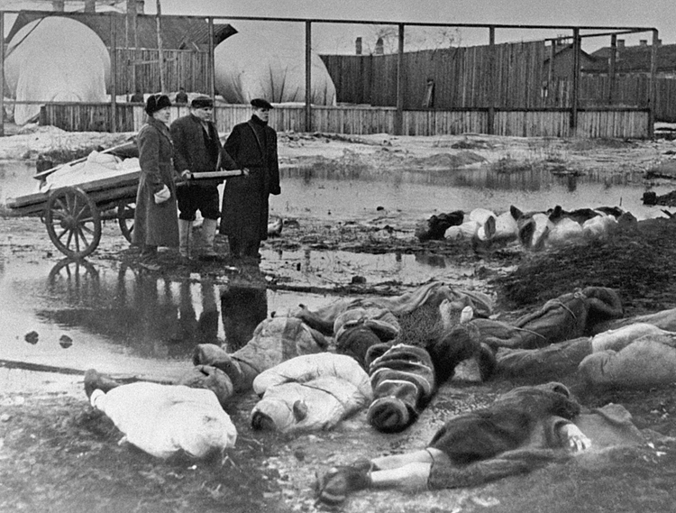 Collecting the Dead, Leningrad