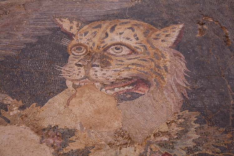 Detail, Dionysos Mosaic, Delos