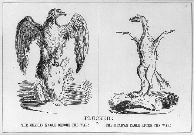 Yankee Doodle's Plucked Eagle