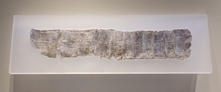 Curse Tablet from Pella, Ancient Kingdom of Macedonia