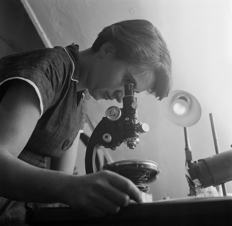 Rosalind Franklin, 1954