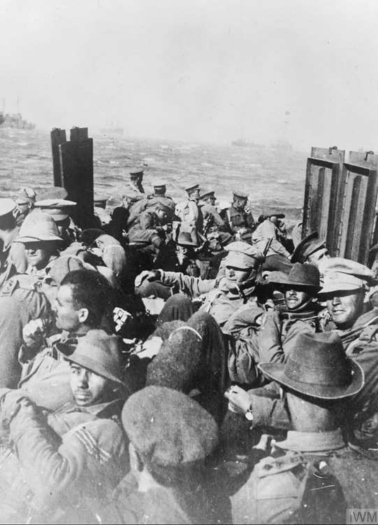 New Zealand Troops, Gallipoli